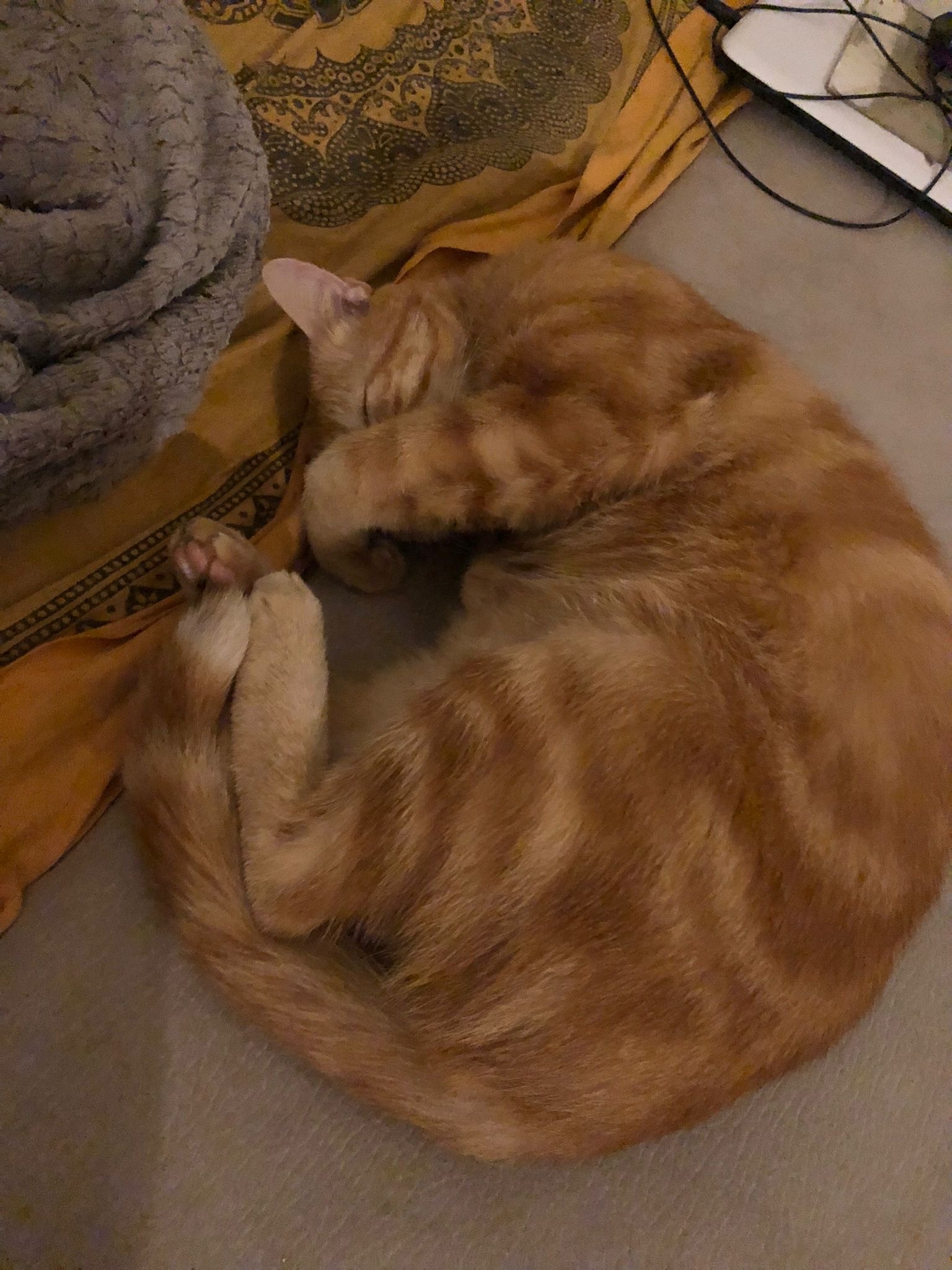 Profil de Jeannot, 20 ans, Échangiste à Elk Point