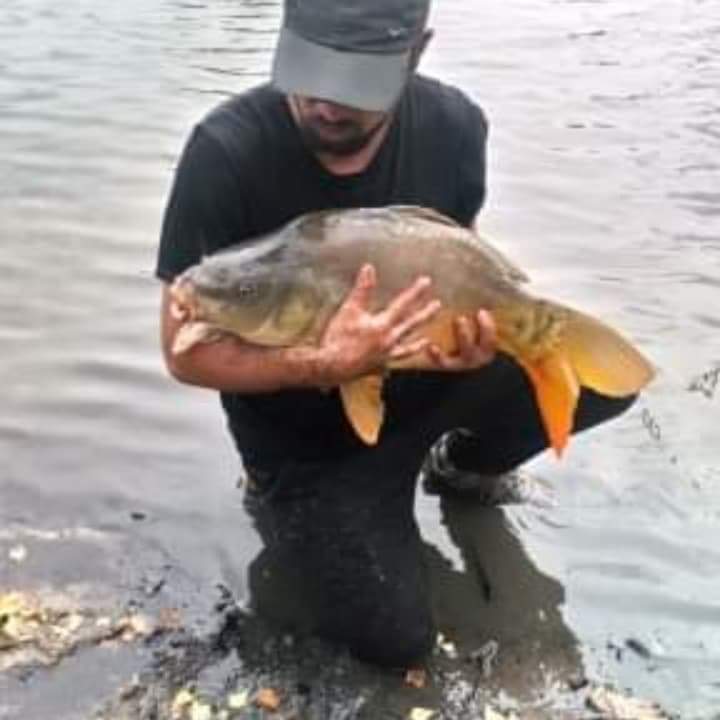 Profil de Daan, 40 ans, Échangiste à Irma