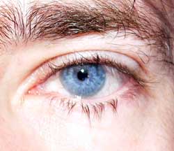 Profil de Alfa, 55 ans, Échangiste à Canmore