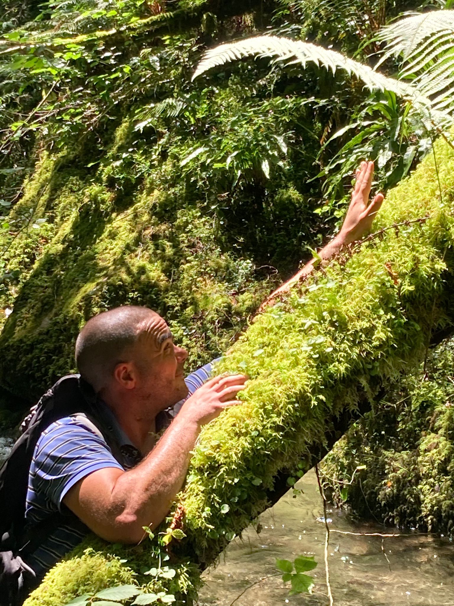 Profil de Nelson, 44 ans, Échangiste à Elk Ridge