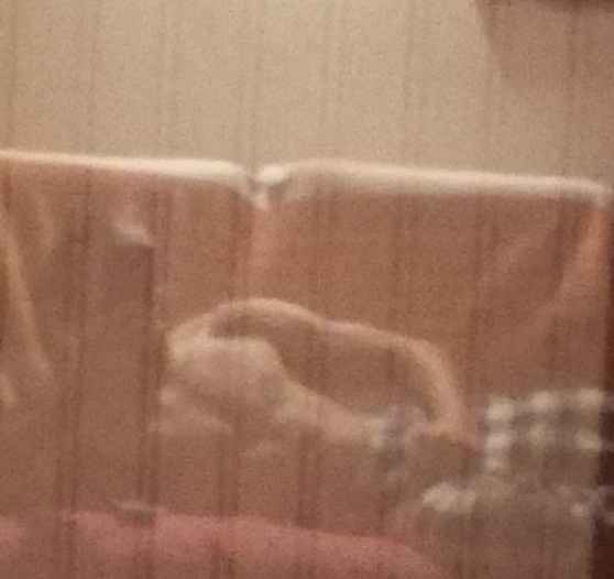 Profil de Shams-eddine, 23 ans, Échangiste à Canmore