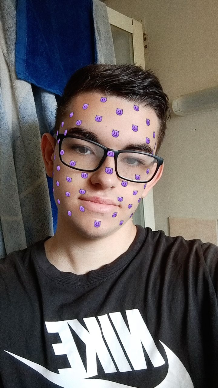 Profil de Hippolythe, 18 ans, Échangiste à Audet